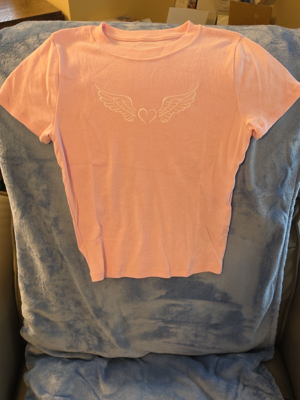 Hollister Pink Short Sleeve Tee with White Winged Heart